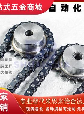 链条VMF01 21-40-4 8 10 20 30 40 50 60 70 80 100 110 120-A