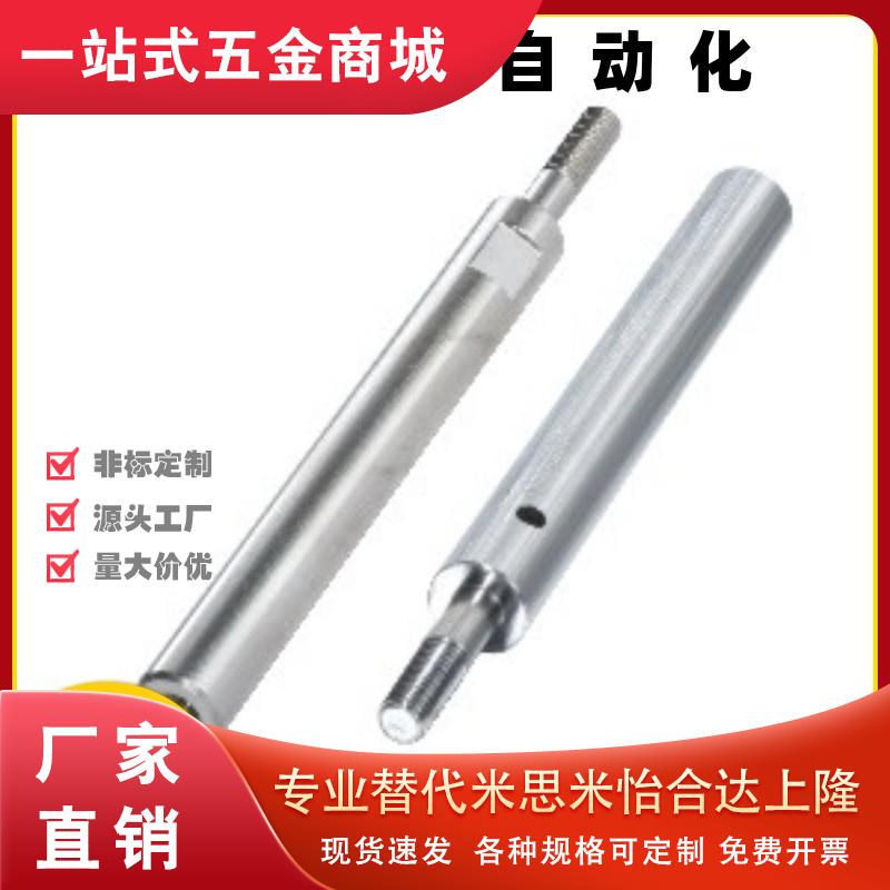 导向轴SGF01/02/06/07/31/32/36/37-D6D8D10D12D13D15D16D18D20-L