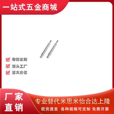 导向轴SHH01/02/06/07-D8D10D12D13D15D16D18D20D25D30D40D50-L-E