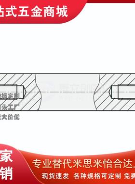 导向轴两端内螺纹型 标准型 g6 SCJ01-D10-L100-M4-N4