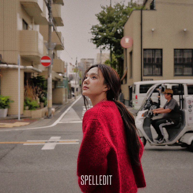 spelledit圆领毛针织衫女