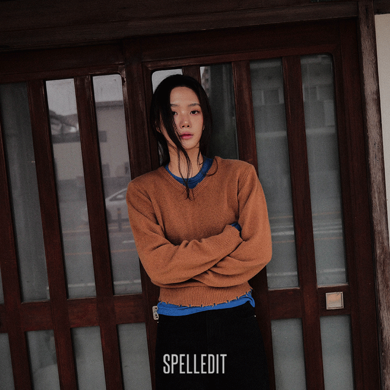 SPELLEDIT复古V领针织衫