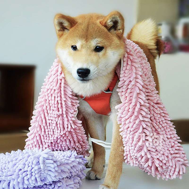 5星柴犬浴巾soggy雪尼尔超强吸o水毛巾小柴洗澡浴巾猫
