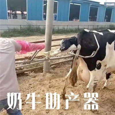 牛用助产器不锈钢母牛助产器械奶牛助产钳夹子难产生产兽用器械