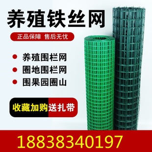 极速细密铁丝网网格防护网围网养鸡户G外养殖场围栏网铁网围墙护