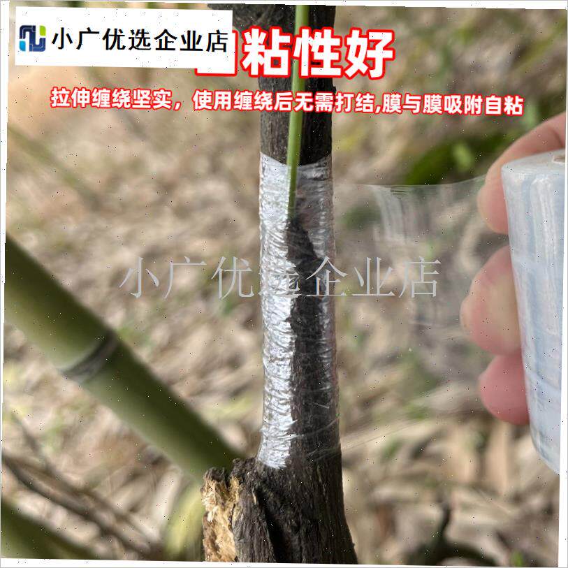 果树嫁接膜专用嫁接带园艺嫁接绑带果J树嫁接薄膜嫁接保湿扎带\