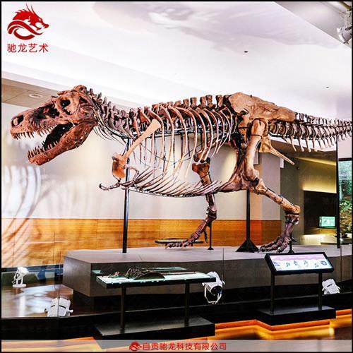 恐龙仿真骨架化石霸王龙牛龙骨架大型古生物骨骼标本复原定做,特色手工艺,其他特色工艺品,淘宝优惠券,粉丝福利购,淘宝优惠卷