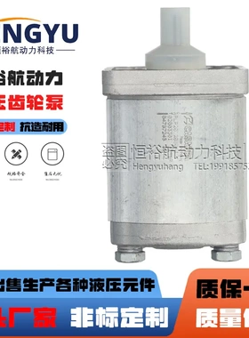 凯斯帕CASAPPA齿轮泵PLP10.5SD液压泵 PLP20.4D0泵 PLP30油泵高压