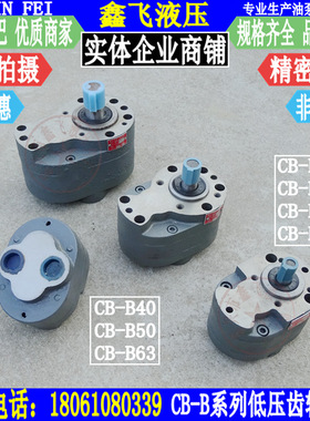 CB-B40 CB-B50 CB-B63 CB-B80 CB-B100 CB-B125低压抽油齿轮油泵