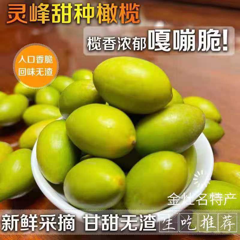 潮汕特产灵峰青橄榄果甘香现摘送礼甜种凌峰橄榄新鲜生吃孕妇水果