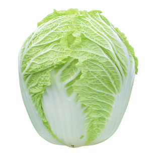 胶州大白菜种子大面积种植老品种秋播山东白菜种孑高产抗病蔬菜籽