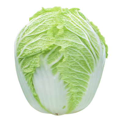 胶州大白菜种子大面积种植老品种秋播山东白菜种孑高产抗病蔬菜籽