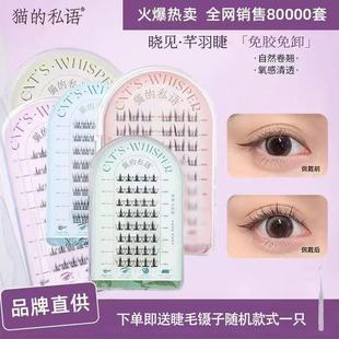 猫的私语免胶假睫毛自粘分段自然仿真眼睫毛贴懒人新太阳花三部曲