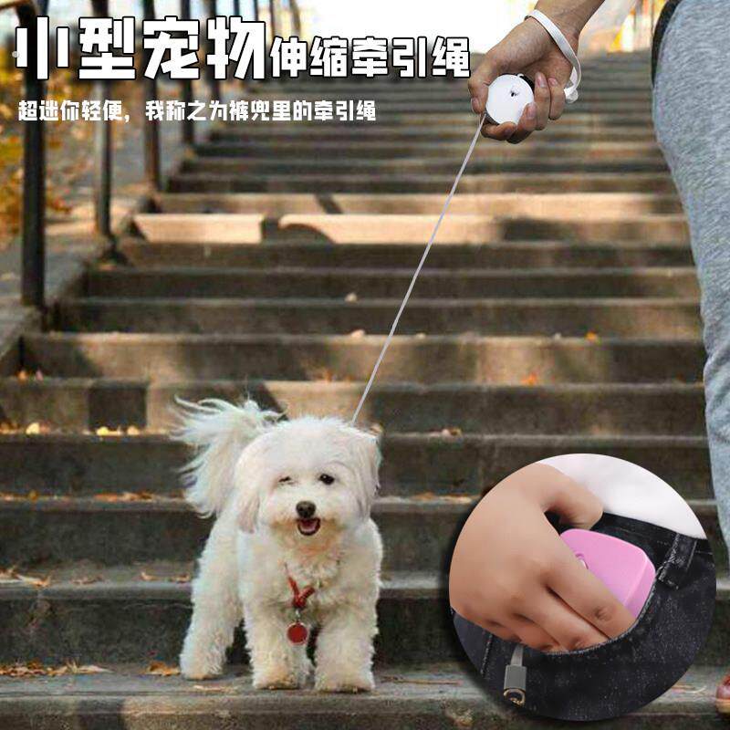 便携式迷你牵引绳小型猫狗自动伸缩绳小宠物小狗猫咪兔子松鼠绳子