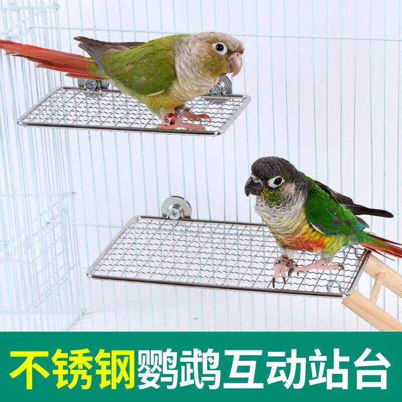 鹦鹉不锈钢站台休息跳台虎皮牡丹玄凤不锈钢站网食台休息跳板站杆