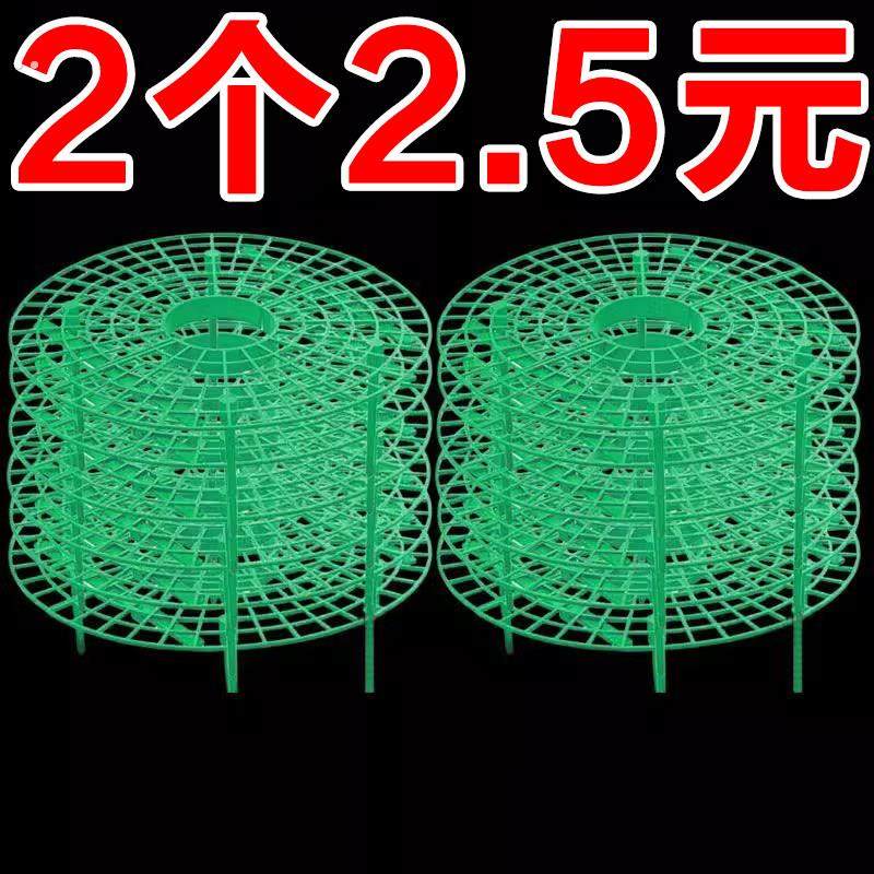 草莓托盘支架种植盆栽水果家庭绿植拼接防烂倒伏叶烂果园艺支撑架