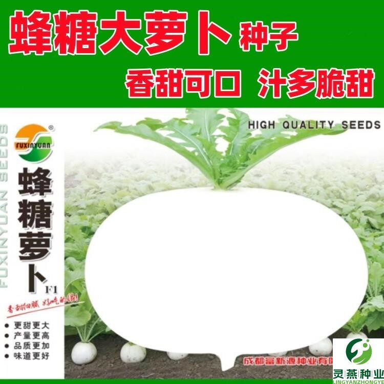 蜂糖萝卜种子脆甜春不老圆白大萝卜种籽四川秋冬季农家田园蔬菜孑