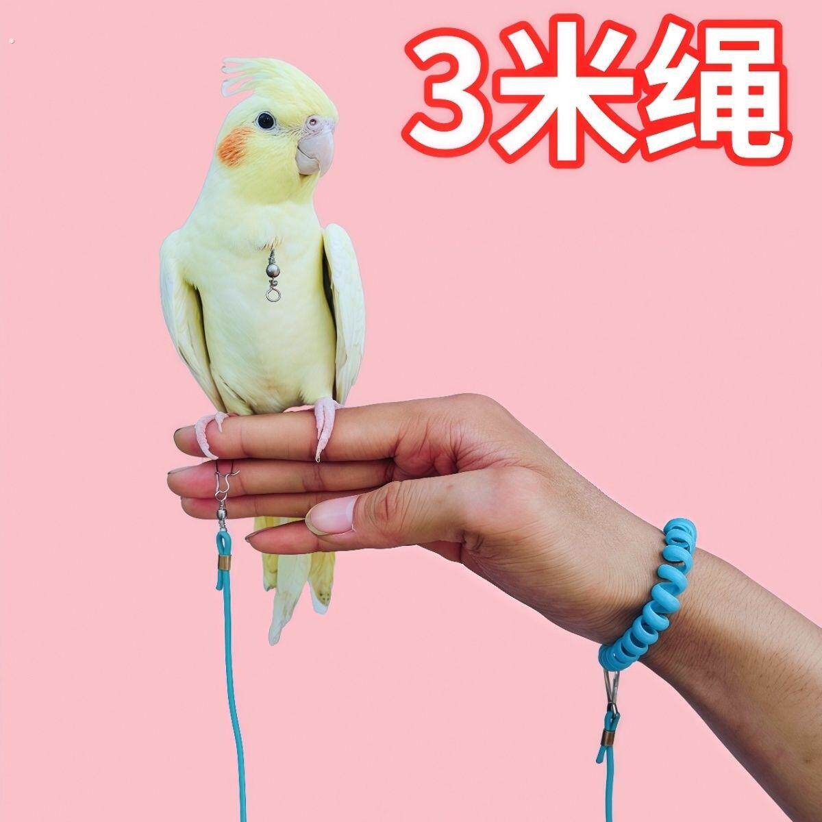 鹦鹉超轻放飞虎皮牵引牡丹遛鸟玄凤小太阳牵引绳遛鸟绳小鸟牵引绳