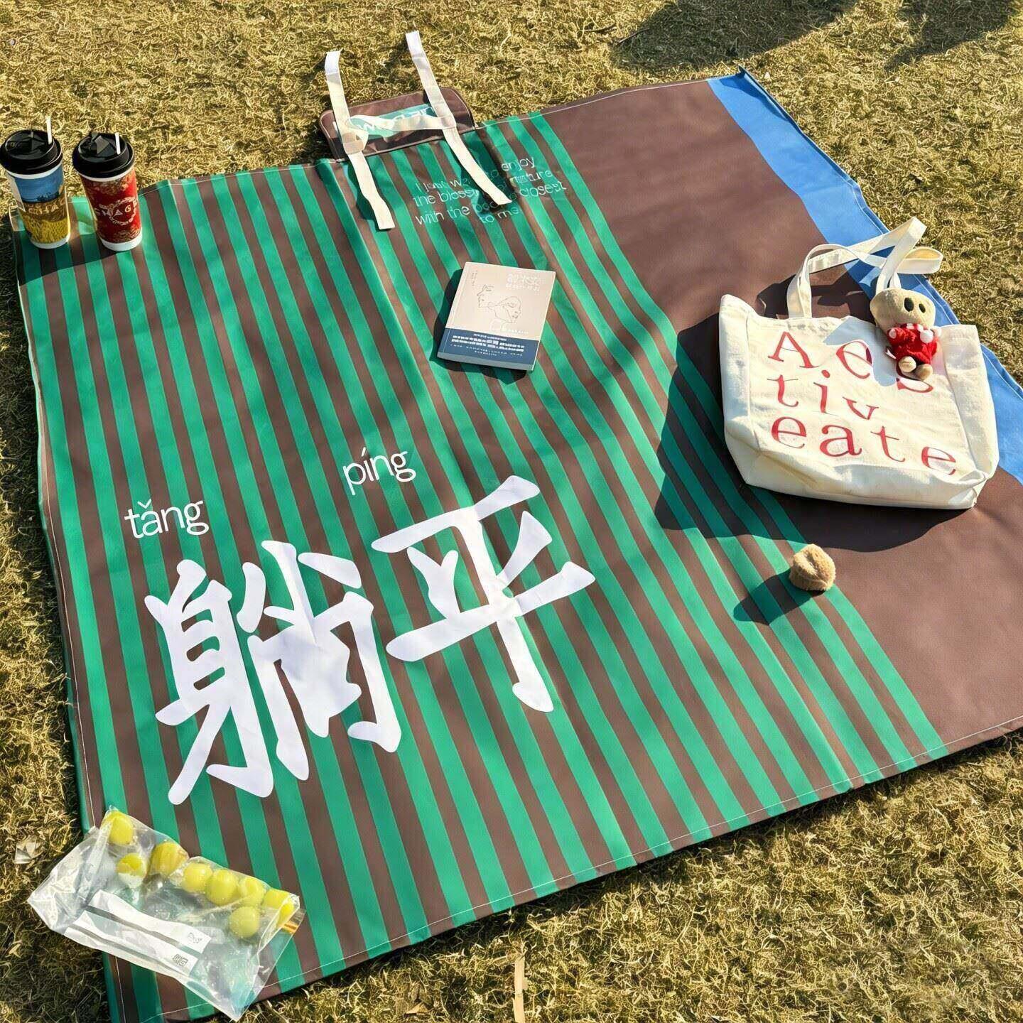 躺平野餐垫户外野炊春游加厚防水防潮垫可携式露营沙滩垫超音波地图片