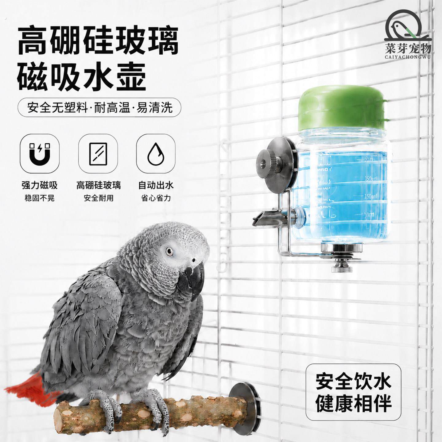 鹦鹉高硼硅玻璃磁吸撞针水壶不锈钢鸟类用品牡丹小太阳笼内用具