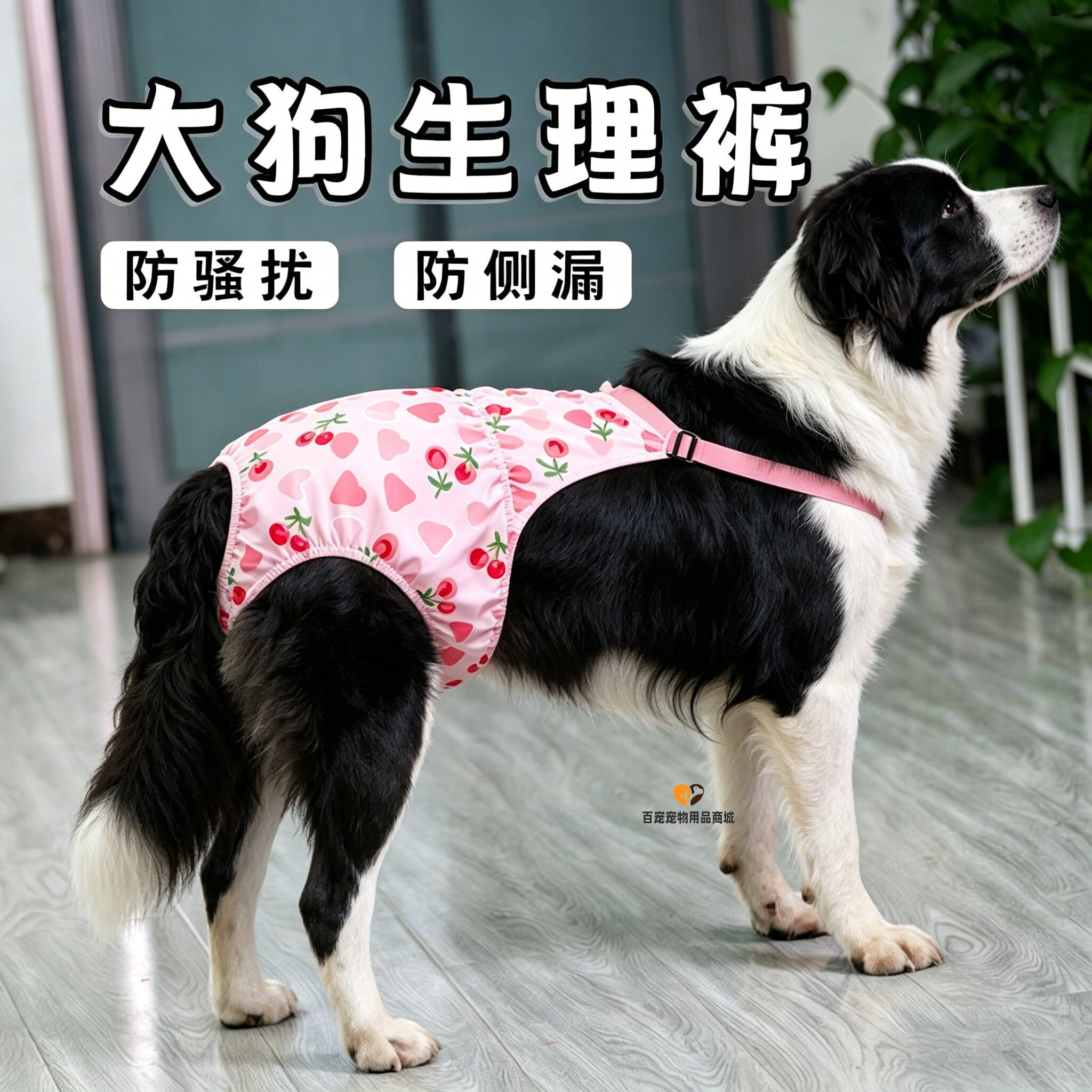 边牧专用狗狗生理裤姨妈裤母狗专用狗防骑裤内裤生理期月经期宠物