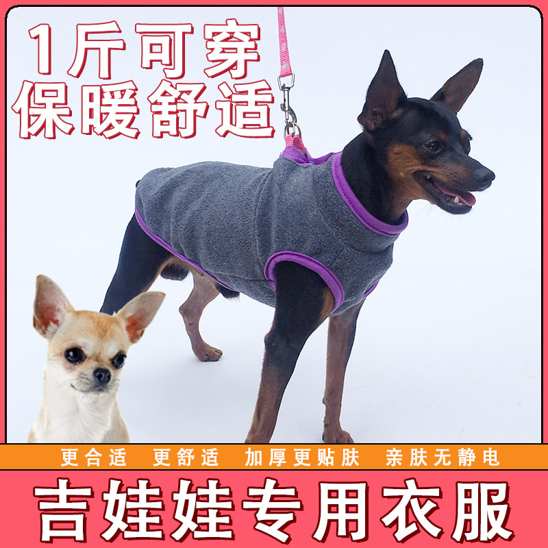 吉娃娃专用衣服小体狗狗秋冬季衣服宠物卫衣加厚保暖马甲背心