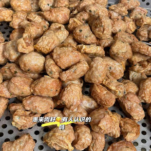 广东潮州惠来特产小吃手工潮汕炸粿肉五香肉卷炸肉籽猪肉腐皮美食