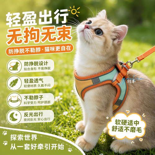 【防丢不勒】猫咪牵引绳子防挣脱