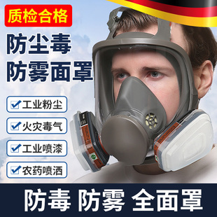 德国防毒面具全面罩硫化氢一氧化碳化工气体防氨气化学实验室喷漆