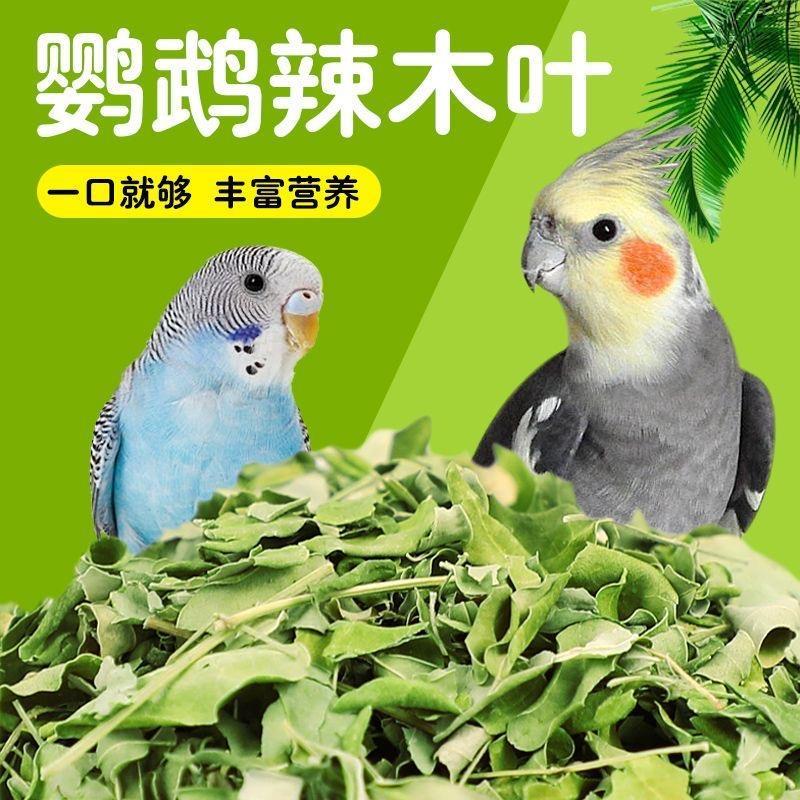 【营养丰富】鹦鹉专用辣木叶零食