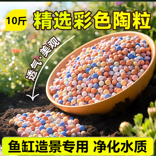 陶粒鱼缸底免洗砂水族造景不浑水鱼缸底沙种花用陶粒铺面垫底养花