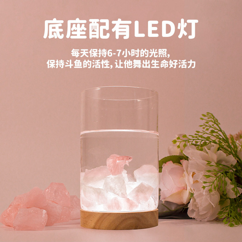 水晶石斗鱼缸泰国斗鱼小型桌面缸创意微景观夜灯送礼好物月光石