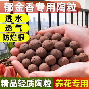 郁金香专用陶粒铺面垫底养花颗粒盆栽轻质透气防烂根园艺花卉陶土