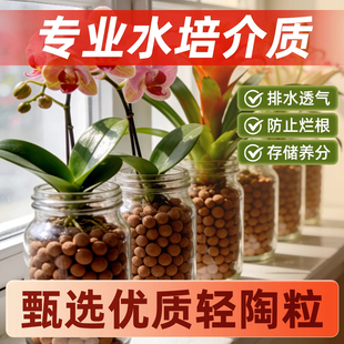 陶粒垫底养花专用彩色水培防烂根透气专用多肉花盆铺面陶粒土鱼缸