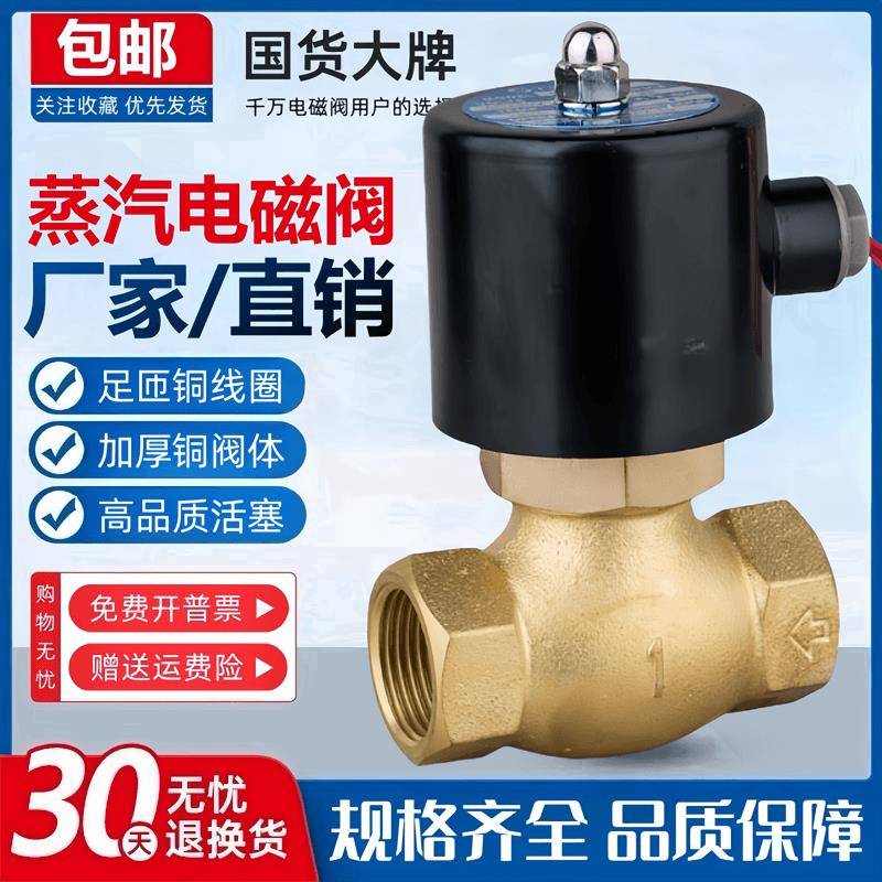 耐高温蒸汽阀电磁阀2L/US-15/20/25/35/40/50蒸气阀控制阀220V24V