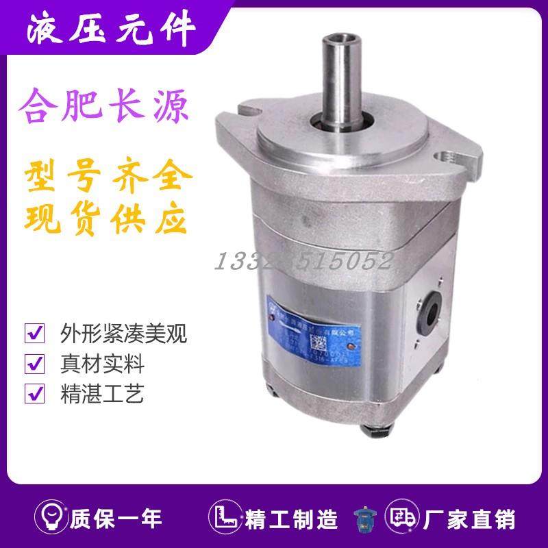 合肥长源赛源齿轮马达CMFDA-F306 F308 F310 E316 E320 E325-ALPS