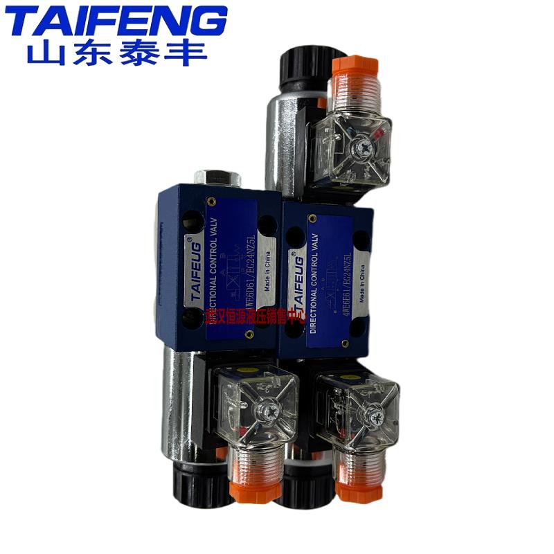 全新TAIFENG泰丰电磁阀4WE6E-50/AG24NZ5L/6G/6J/4WE6D-50/AW220N