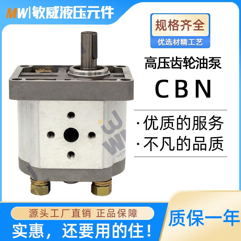 液压齿轮泵油泵总成CBN-F310/314/316/20/25小型高压油泵大全泵头