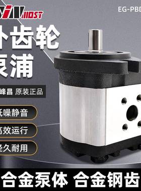 WINMOST台湾峰昌鞋机齿轮油泵EG-PBD-F22R EG-PBD-F26R F28R F30R