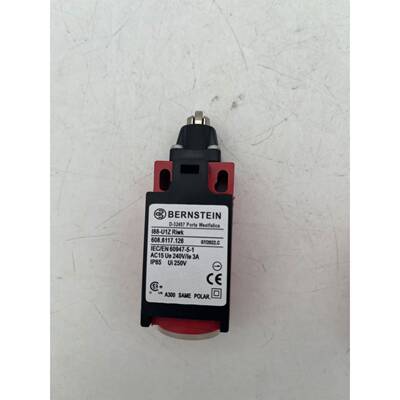 伯恩斯坦开关D-32457 I88-U1Z Riwk 608.6117.126 618.6167.473