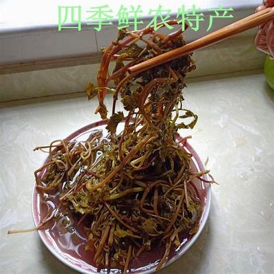 酸芹菜贵州特产新鲜野生芹菜细叶芹剪刀芹3斤包邮农家自制芹菜酸