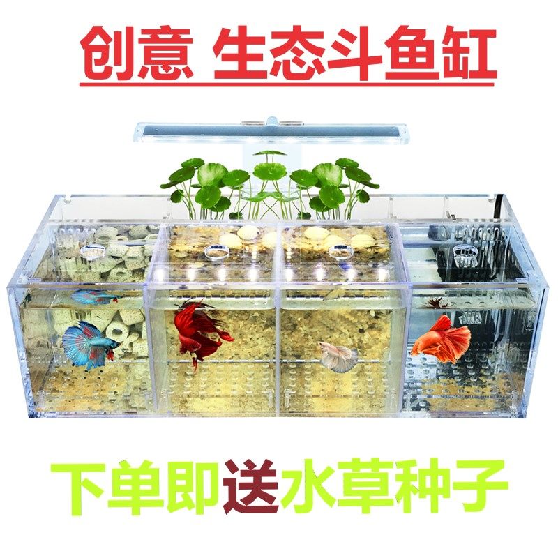 创意斗鱼缸孔雀鱼繁殖孵化隔离盒观赏鱼专用小组排缸活体桌面生态|msdalam kategori haiwan peliharaan/makanan haiwan dan bekalan, Aquarium World, tangki ikan akuarium dan kelengkapan lain, tangki ikan/akuarium - dari Buy2taobao.com untuk memberikan perkhidmatan ejen Taobao profesional membeli