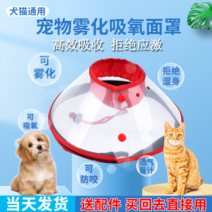 宠物吸氧面罩狗狗氧气罩猫咪专用雾化面罩狗吸氧头套吸氧箱雾化箱