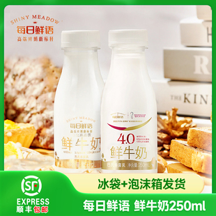 每日鲜语鲜牛奶4.0 巴氏杀菌低温早餐奶全脂 250ml瓶装