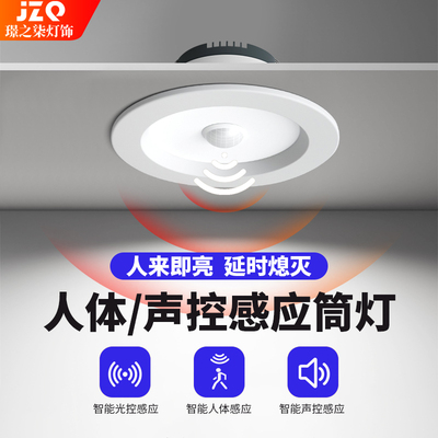 璟之柒LED智能感应筒灯