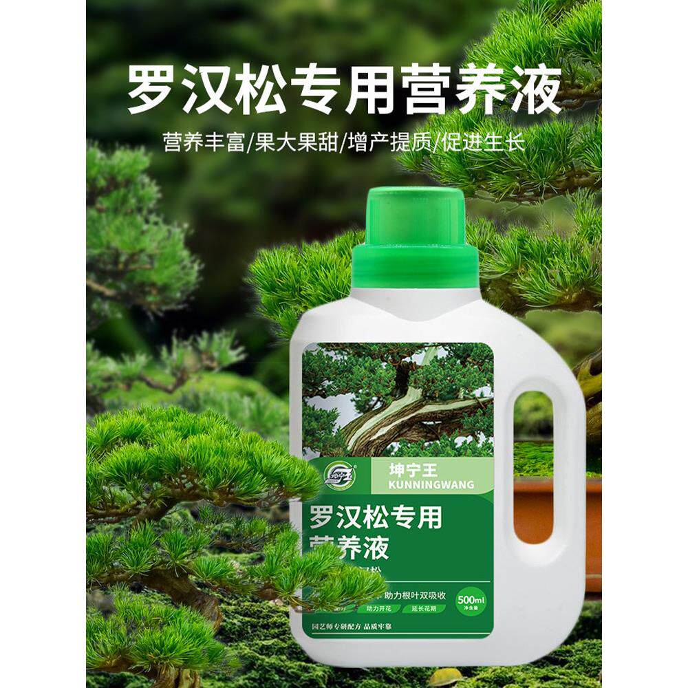 罗汉松专用肥营养液有机肥料泰山松雀舌四季大阪松树盆栽景通用型