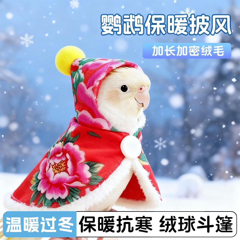 鹦鹉冬天斗篷小鸟披风虎