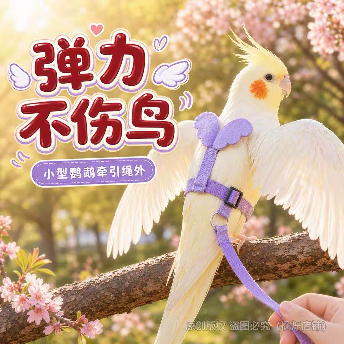 鹦鹉牵引绳外出放飞绳户