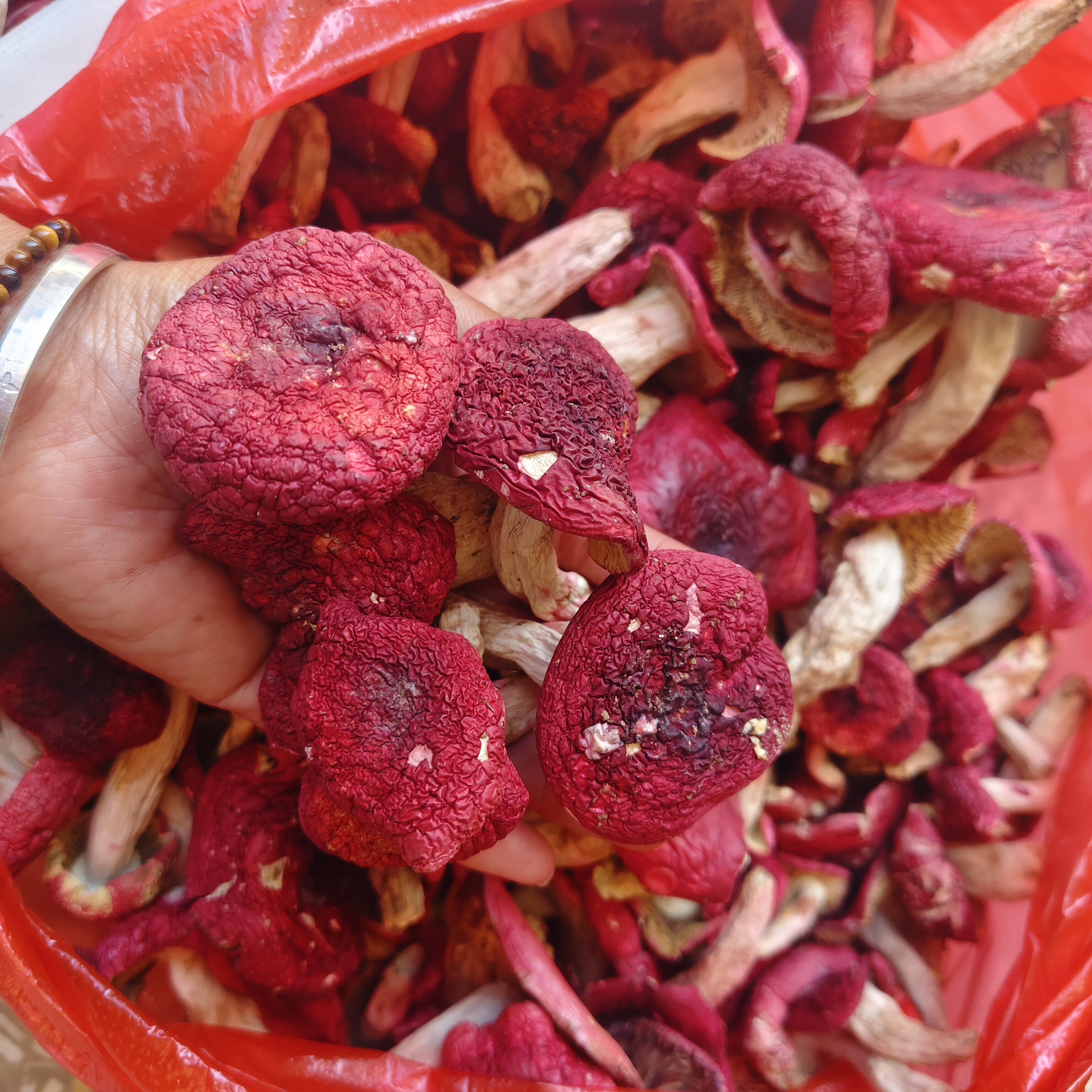新货哀牢山红菇/红菌红蘑菇野生红菇香菇大红菌炖鸡100克云南特产