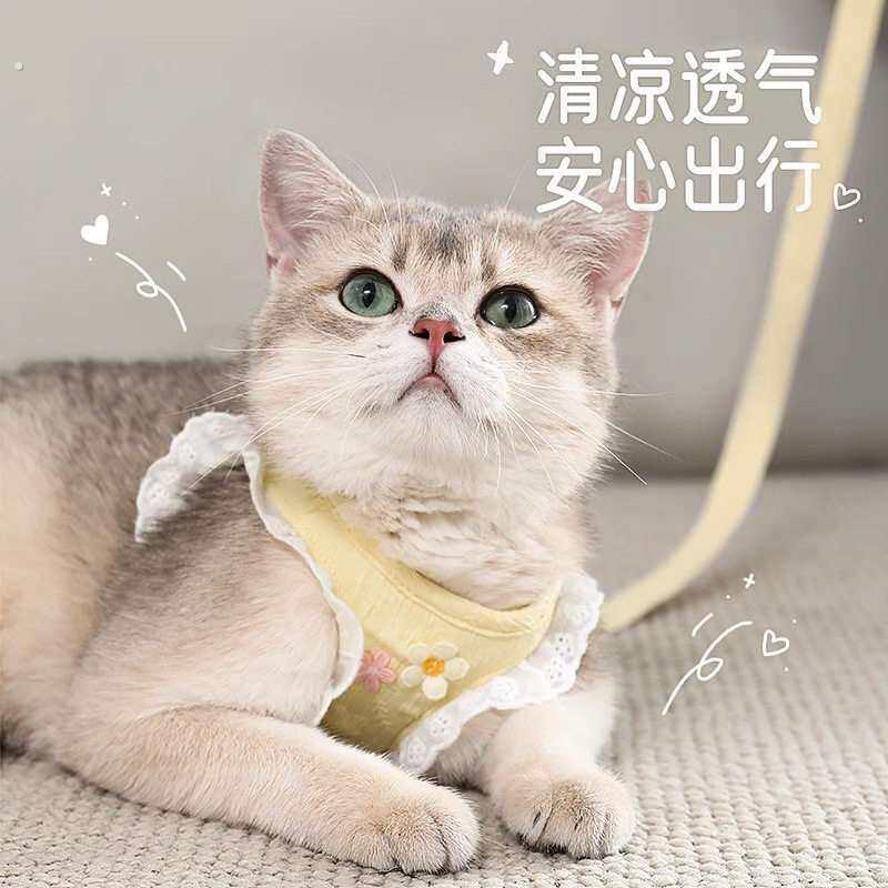 猫咪牵引绳防挣脱外出专用溜猫背心式胸抱婴袋小型犬狗狗防跑遛猫